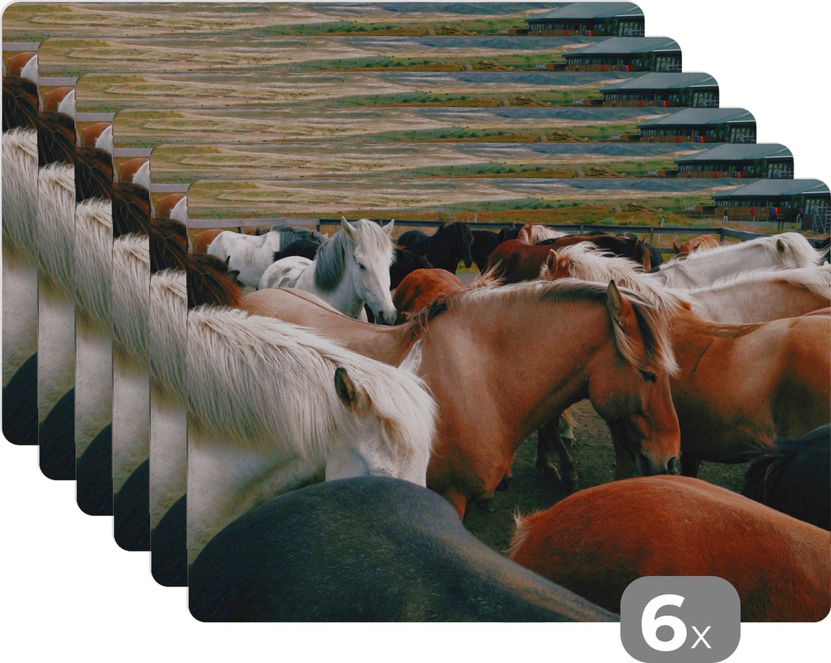 Placemats - Paarden - Dieren - Wild - Gras - Eettafel - Onderlegger - 45x30 cm - 6 stuks
