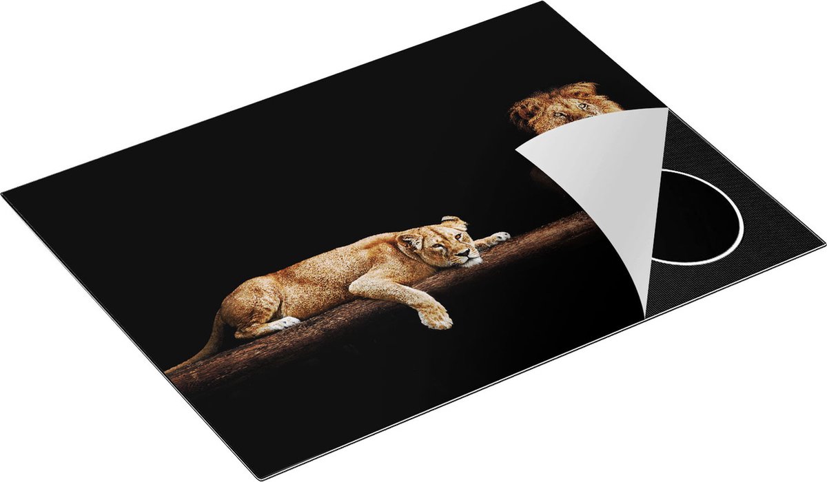 Chefcare Inductie Beschermer Leeuw en Leeuwin in het Donker - 70x52 cm - Afdekplaat Inductie - Kookplaat Beschermer - Inductie Mat