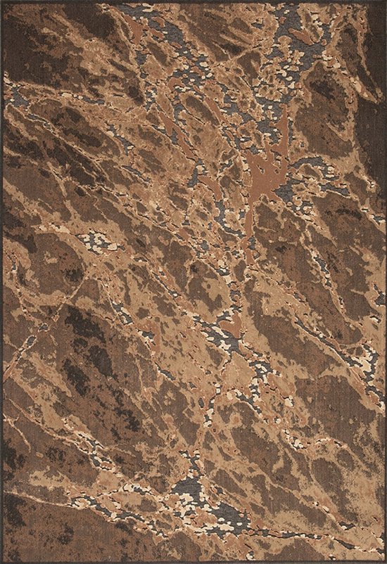 Vloerkleed Acsento Faro 884 Brown Black - maat 200 x 300 cm