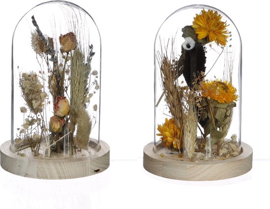  - Glazen stolp met droogbloemen naturel Ø8cm (1 st.)