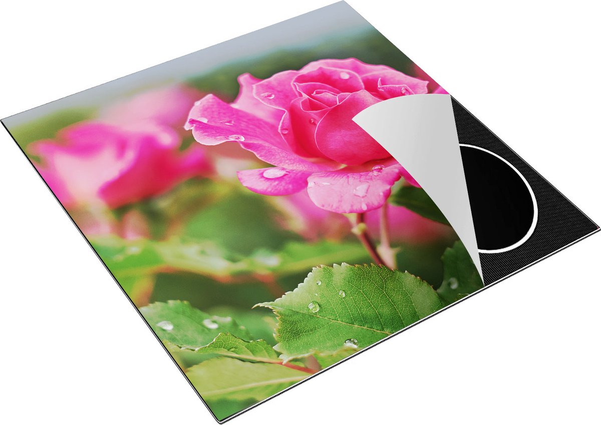 Chefcare Inductie Beschermer Roze Roos met Waterdruppels - 78x78 cm - Afdekplaat Inductie - Kookplaat Beschermer - Inductie Mat