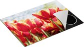 Chefcare Inductie Beschermer Oranje Rode Tulpen - 75x52 cm - Afdekplaat Inductie - Kookplaat Beschermer - Inductie Mat