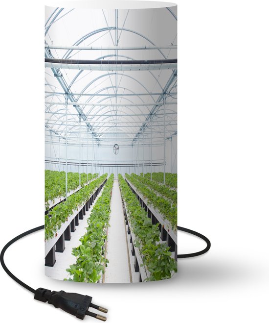 Lamp Kassen - Rijen planten groeien in kas - 33 cm hoog - Ø16 cm -  Inclusief LED lamp | bol.com