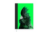 Carnet - Carnet d'écriture - Cacatoès - Vogel - Vert - Carnet - Format A5 - Bloc-notes