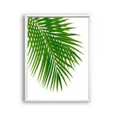 Poster Tropisch palmboom blad links - gekleurd / Planten / Bladeren / 30x21cm