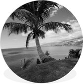 WallCircle - Wandcirkel ⌀ 30 - Palmboom aan kust van Tenerife - Zwart-Wit - Ronde schilderijen woonkamer - Wandbord rond - Muurdecoratie cirkel - Kamer decoratie binnen - Wanddecoratie muurcirkel - Woonaccessoires