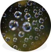 WallCircle - Cercle mural ⌀ 90 - Automne - Goutte - Vert - Tableaux ronds salon - Plaque murale ronde - Cercle de Décoration murale murale - Décoration de chambre à l'intérieur - Cercle Décoration murale - Accessoires de maison