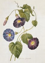 IXXI Cypress vine - Wanddecoratie - Bloemen en Planten - 100 x 140 cm