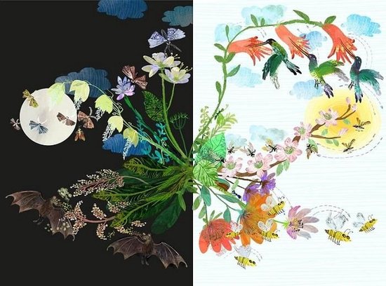 Het Briljante Bloemen Boek