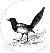 Ancienne illustration d'une assiette en plastique cercle mural pie ⌀ 90 cm - impression photo sur cercle mural / cercle vivant (décoration murale)
