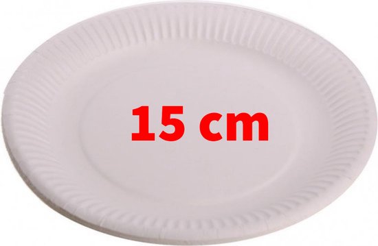 100x Kartonnen bordjes wit 15 cm - Wegwerp borden - Feest/verjaardag/BBQ borden