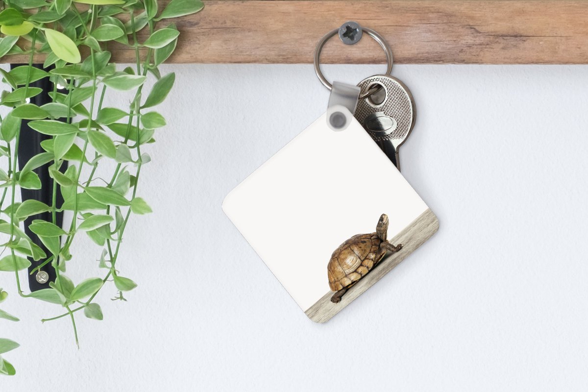 2 Stuks Gebreide Schildpad Sleutelhanger, Mini Schildpad Sleutelhanger, Wol Hanger, Leuke Tas Accessoires, Grappig Cadeau Sleutelhanger, Paars, One Size, Modern, Paars., Eén maat, Modern