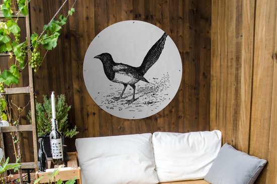 Affiche de jardin Illustration de pie ronde - Illustration ancienne d'une pie Affiche de jardin - Affiche de jardin ronde 90x90 cm - Toile de jardin/Toile d'extérieur/ Peintures pour l'extérieur (décoration de jardin)