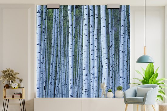 Papier peint photo peint photo vinyle - Witte' arbres blancs largeur 300 cm x hauteur 300 cm - Tirage photo sur papier peint (disponible en 7 tailles)