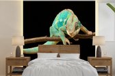 Behang - Fotobehang Kameleon - Tak - Pastel - Breedte 240 cm x hoogte 240 cm