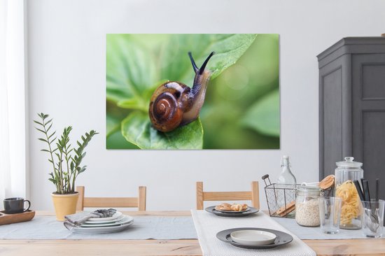 Tableau sur toile Escargot sur feuille - 120x80 cm - Décoration murale