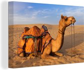 Canvas Schilderij Dromedaris kameel in zandduinen - 140x90 cm - Wanddecoratie
