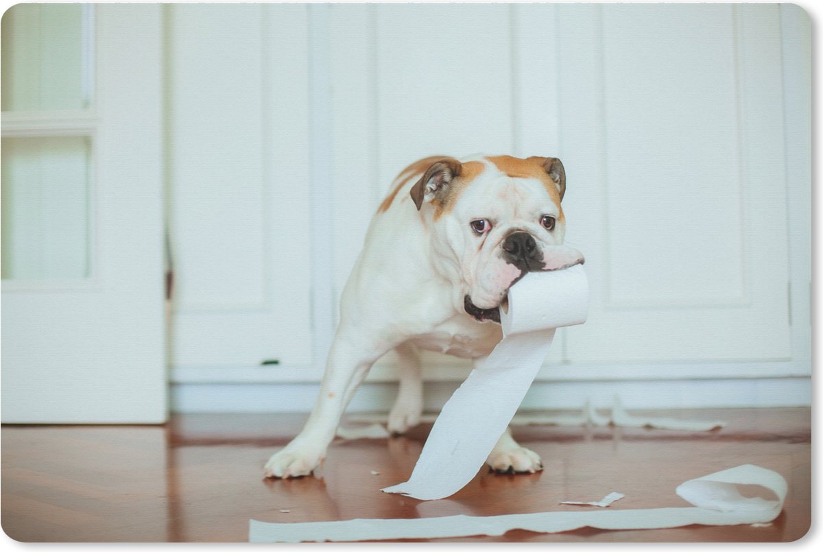 Muismat XXL 90x60 cm - Bureau onderlegger - Bureau mat Hond spelend met wc-papier - Bureaumat - Gaming mousepad xl - Bureaulegger groot - Computer deskmat
