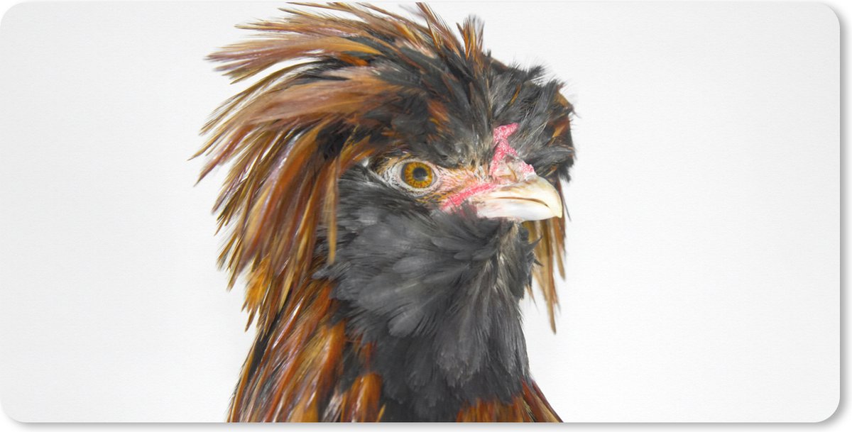 Muismat XXL 120x60 cm - Bureau onderlegger - Bureau mat Close-up van een vogel met wilde bruine en zwarte veren - Bureaumat - Gaming mousepad xl - Bureaulegger groot - Computer deskmat