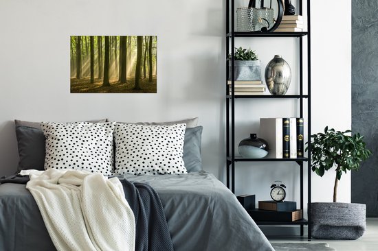 La lumière du soleil d'automne brille sur les vieux arbres Poster 30x20 cm - petit - Tirage photo sur Poster (décoration murale salon / chambre)