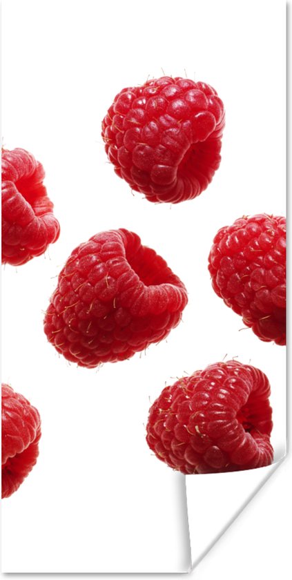 Affiche Fruit - Framboise - Wit - 20x40 cm