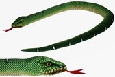 Pluche knuffel dieren groene boom python slang van 150 cm - Speelgoed slangen knuffels - Cadeau voor jongens/meisjes
