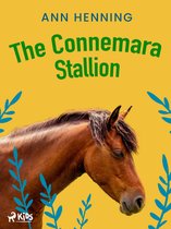 Connemara Trilogy 2 - The Connemara Stallion