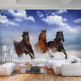 Fotobehangkoning - Behang - Vliesbehang - Fotobehang Paarden in de Sneeuw - Horses in the Snow - 150 x 105 cm