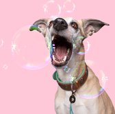 DWAM Dog with a Mission Halsband hond – Hondenhalsband – Bruin – XS – Leer – Halsomvang tussen 23-29 x 2 cm – Urban