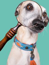 DWAM Dog with a Mission Halsband Hond – Hondenhalsband – Blauw – M – Leer – Halsomvang tussen 32-39 x 2,5 cm – Jones