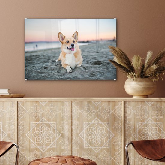 Chien sur la plage en Glas 60x40 cm - Tirage photo sur Glas (décoration murale en plexiglas)