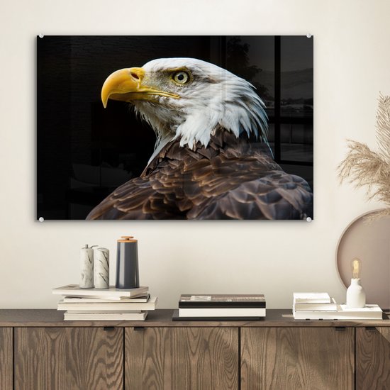 MuchoWow® Peinture sur verre 60x40 cm - Peinture sur verre acrylique - Aigle - Vogel - Yeux - Bec - Photo sur verre - Peintures