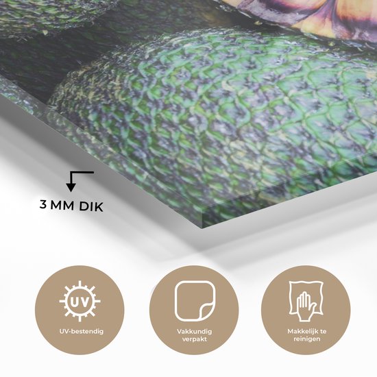 Detail van een glas schilderij met Braziliaans fruit. De print is 3 mm dik, UV-bestendig, vakkundig verpakt en makkelijk te reinigen.