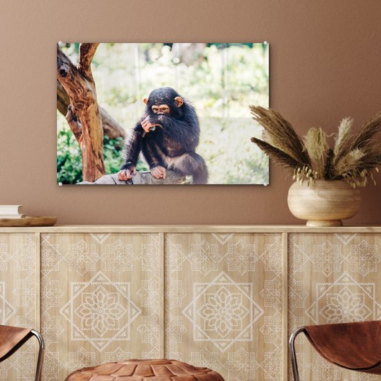 MuchoWow® Peinture sur verre 60x40 cm - Peinture sur verre acrylique - Singe chimpanzé en gros plan assis dans la forêt - Photo sur verre - Peintures
