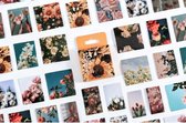 Bullet Journal Stickers - Planner Agenda Stickers - 46 Stuks - Bloemen - Flowers - Photography - Fotografie - Scrapbook stickers - Bujo stickers - Stickers volwassenen en kinderen