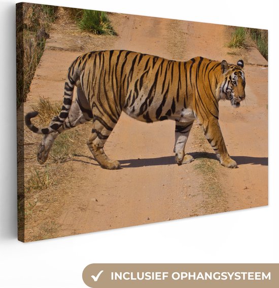 Bengal Tiger Crossing Canvas 120x80 cm - Tirage photo sur toile (Décoration murale salon / chambre) / Peintures sur toile Animaux