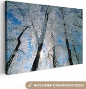 Canvas Schilderij Door vorst bedekte bomen - 90x60 cm - Wanddecoratie