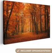 Canvas Schilderij Een bos met herfstachtige kleuren - 120x80 cm - Wanddecoratie