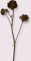 Zijden kunstbloem Engelwortel | Bruin | Lengte 75 centimeter