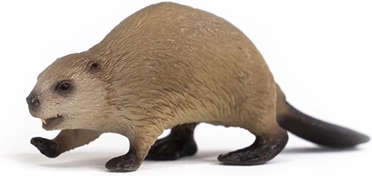 schleich WILD LIFE - Bever - 14855 — afbeelding 9