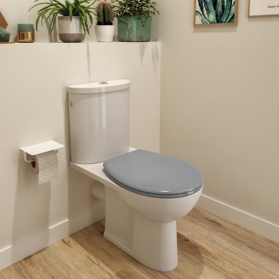 Montage abattant wc sensea online