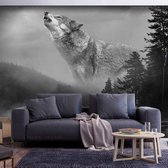 Fotobehangkoning - Behang - Vliesbehang - Fotobehang Wolf in het Bos - 300 x 210 cm
