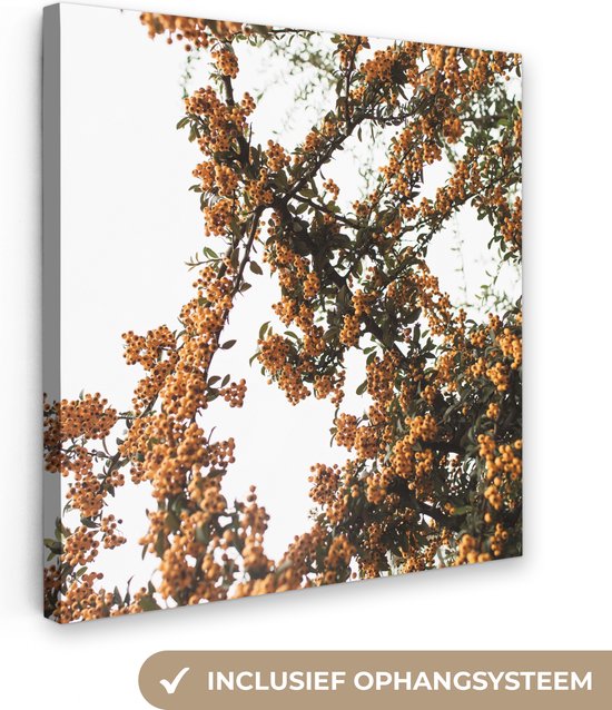 Canvas Schilderij Bloemen - Takken - Natuur - 20x20 cm - Wanddecoratie