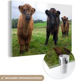 MuchoWow® Glasschilderij 30x20 cm - Schilderij acrylglas - Schotse hooglander - Koeien - Natuur - Groen - Gras - Foto op glas - Schilderijen
