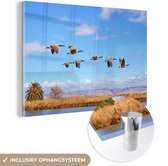 MuchoWow® Glasschilderij 60x40 cm - Schilderij acrylglas - Ganzen - Lucht - Water - Foto op glas - Schilderijen