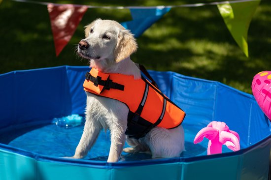 Een witte hond draagt een fel oranje reddingsvest met zwarte accenten in een opblaasbaar zwembadje.