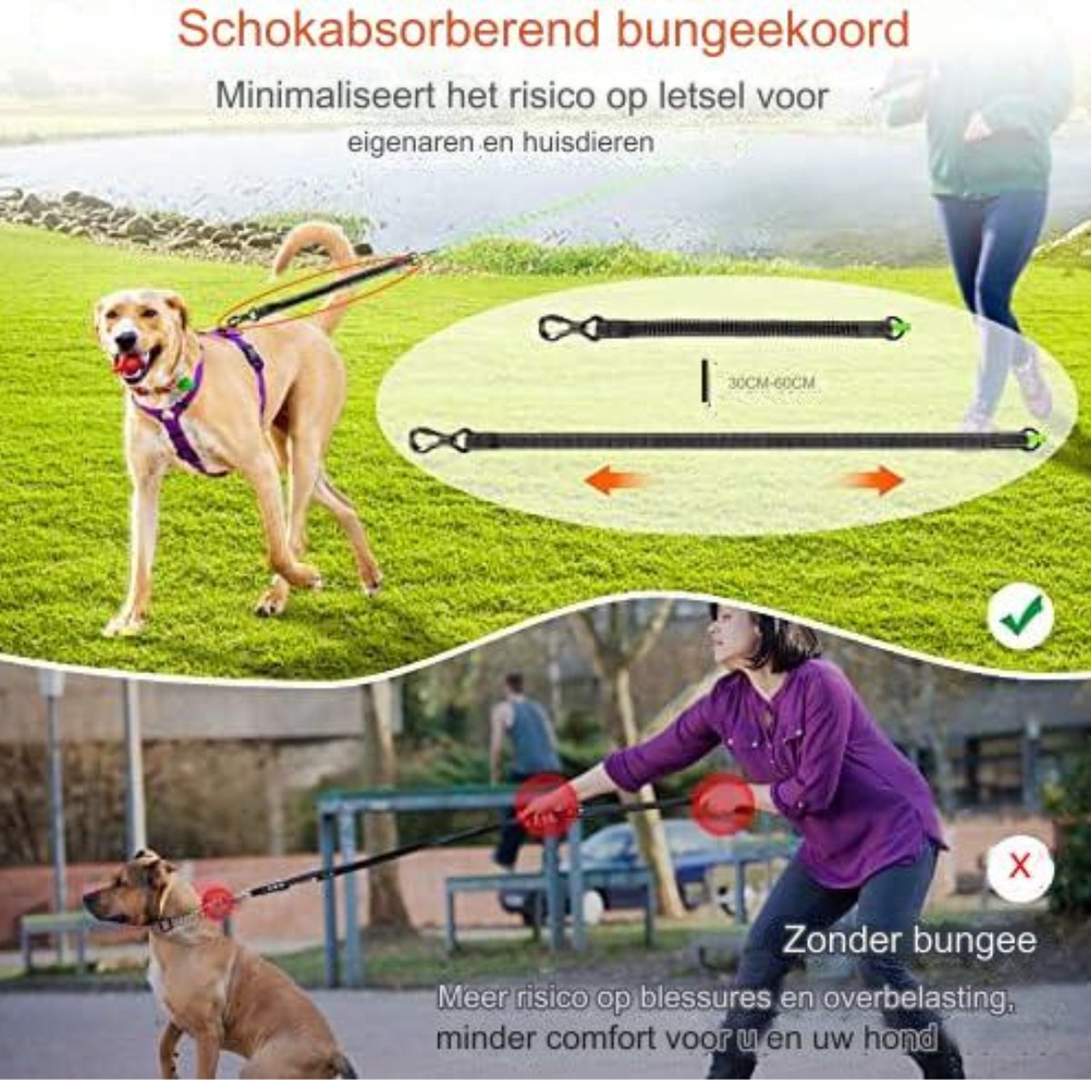 Taglory sterke hondenriem met zachte gevoerde handgreep en reflecterende draden voor grote honden, 1,8 m x 1,2 cm, zwart Taglory sterke hondenriem met zachte gevoerde handgreep en reflecterende draden voor grote honden, 1,8 m x 1,2 cm, zwart