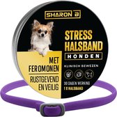 Feromonen halsband hond Paars - Voor kleine hondjes - Nek omvang max 38 cm - met geruststellende feromonen - Kalmerend en ontspannend - anti stress hond - tegen stress, angst en agressie bij honden