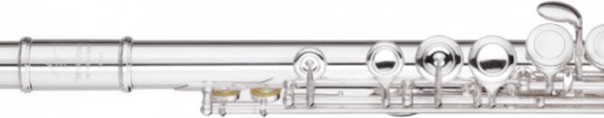 Trevor James Dwarsfluit 3005 E-W