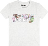Fortnite-T-shirt-met-korte-mouw-grijs-maat-152